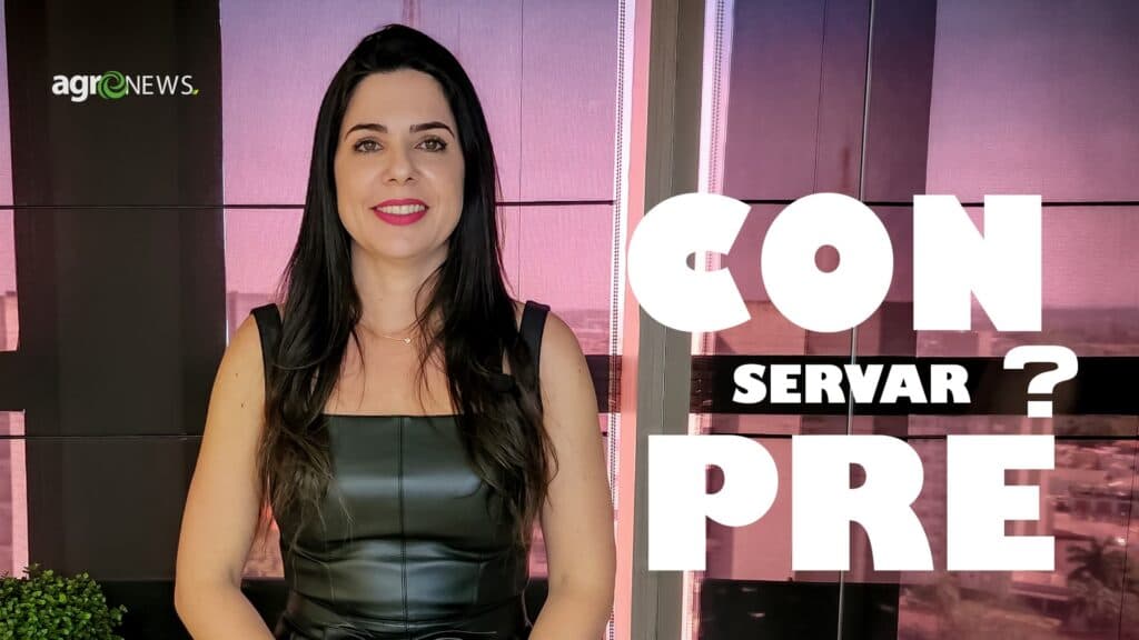 Conservar ou preservar? Entenda as diferenças