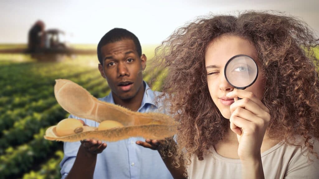 Agro da Gente: Afinal, o que é esse tal de Agronegócio?