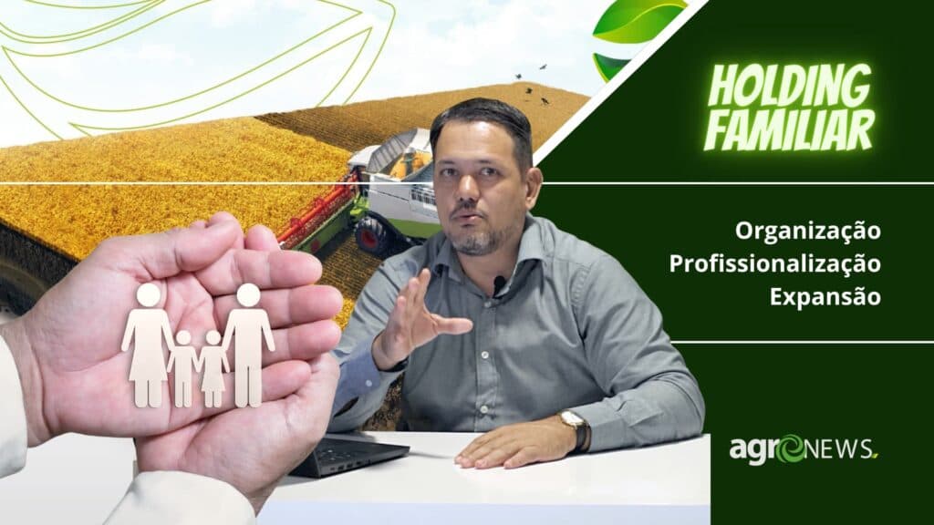 Holding Familiar: Organização e Profissionalização, Economia Tributária e Expansão dos Negócios