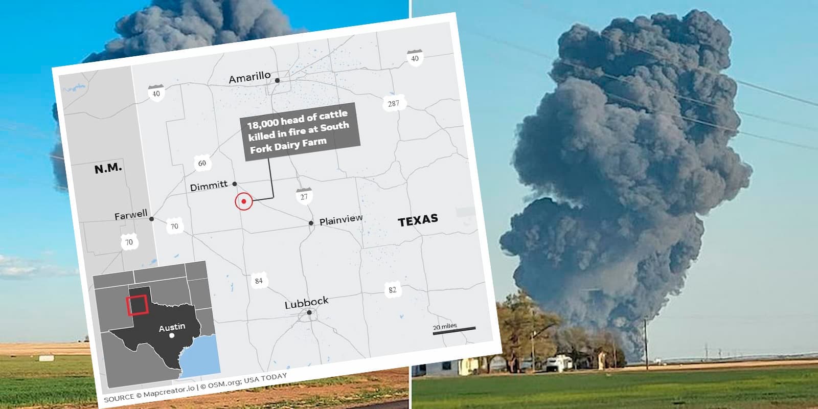 Fatalidade! Explosão mata cerca de 18 mil vacas em fazenda de laticínios no Texas