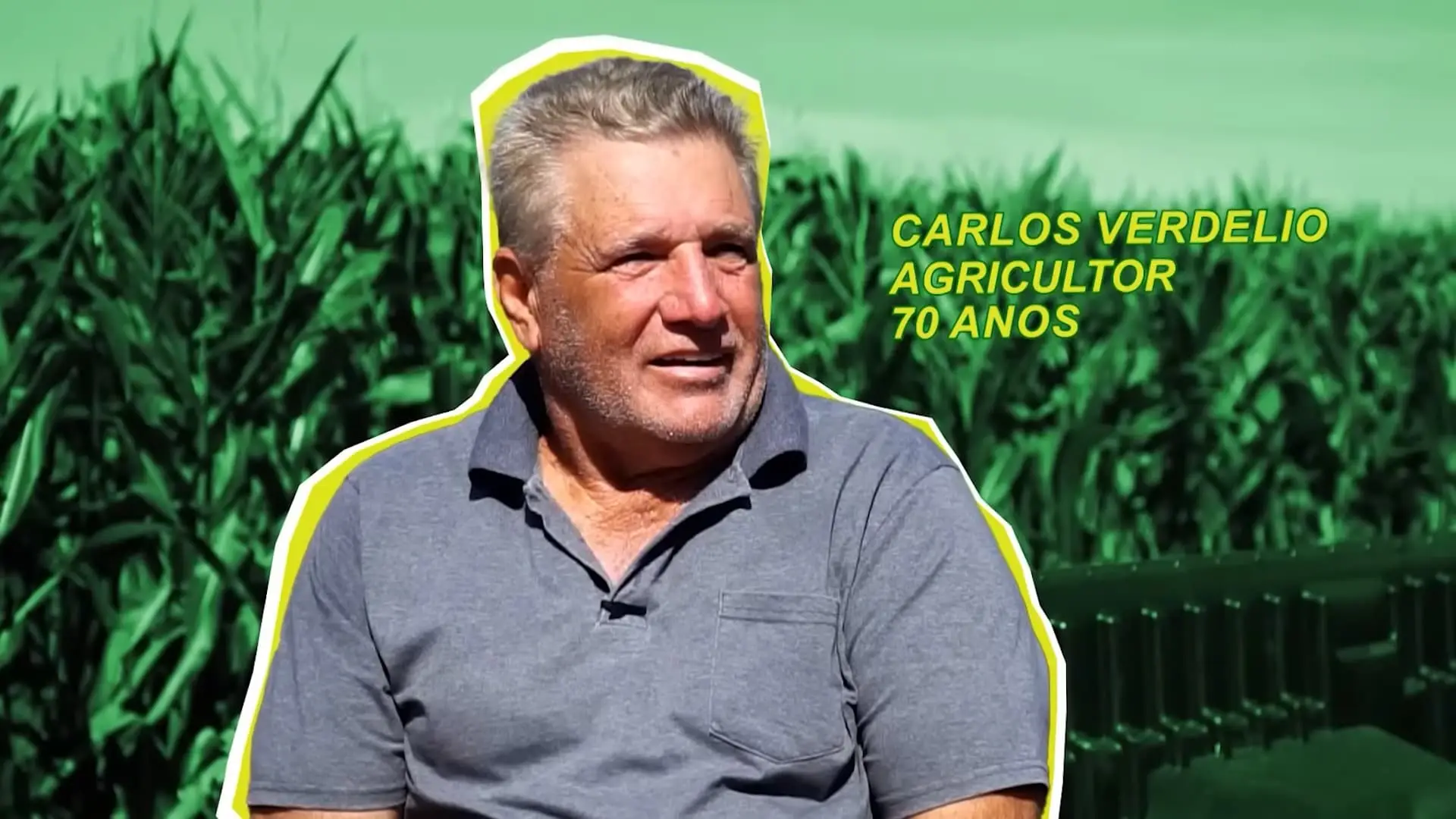 Produtividade de milho na areia? Produtor de Primavera do Leste vira referência