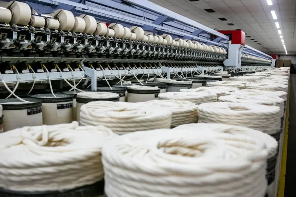 Demanda ativa impulsiona mercado interno do algodão