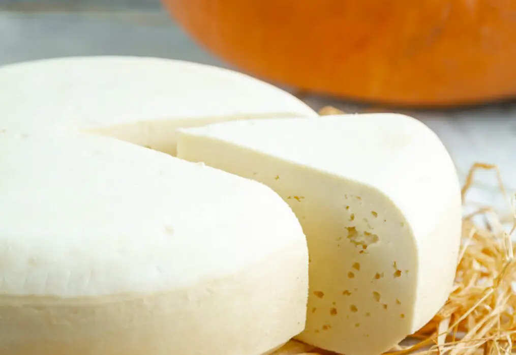 Expoagro 2023 terá oficinas técnicas de couro e leite