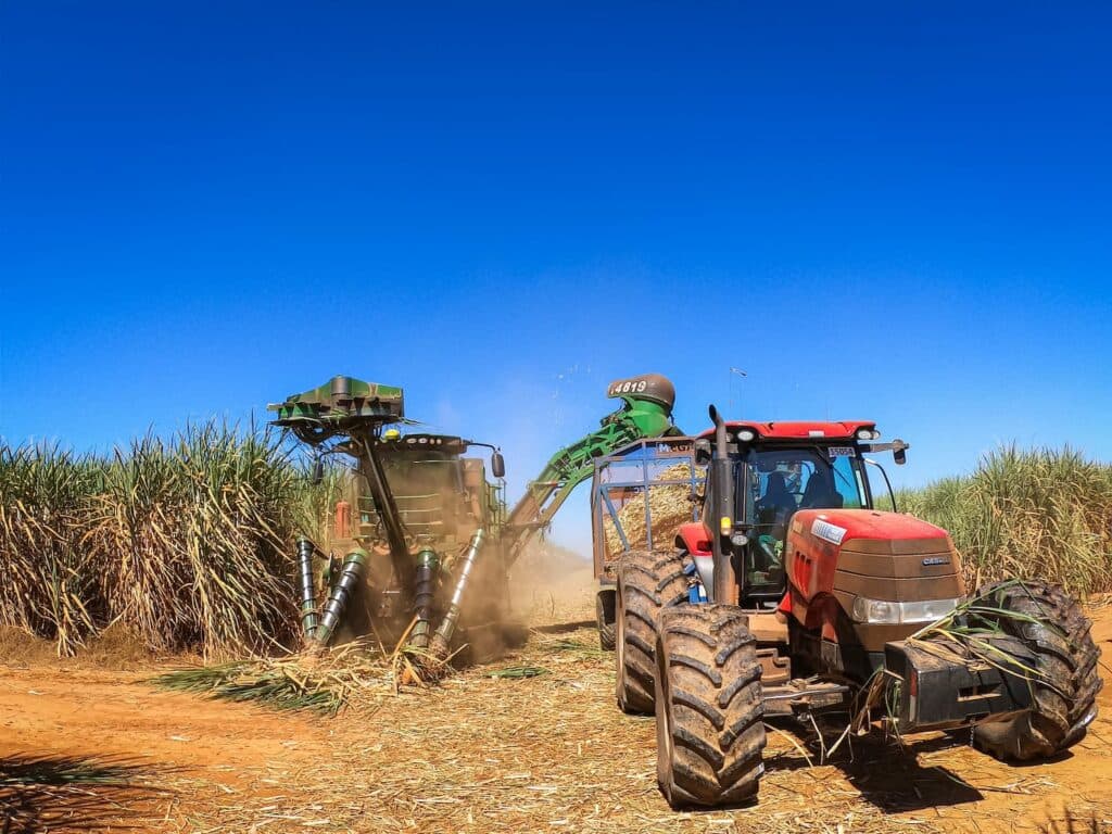 Preço do açúcar continua em alta