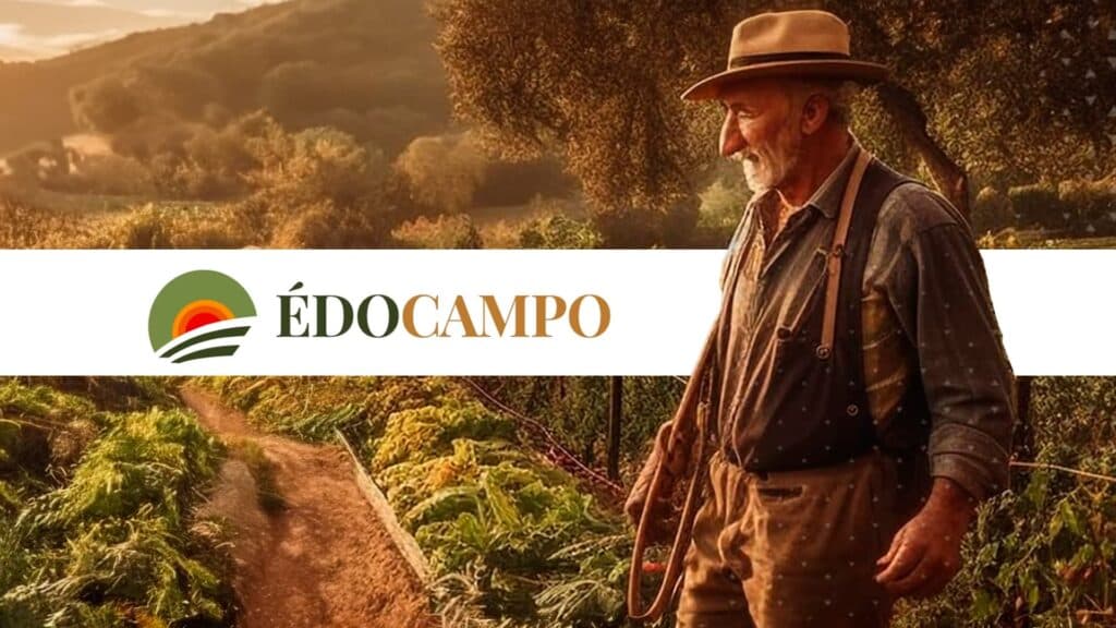 É do Campo: Plataforma online para venda de produtos da agricultura familiar