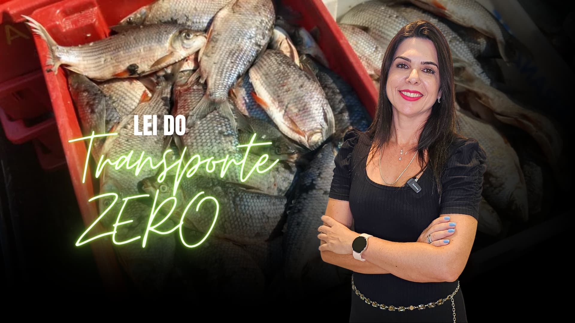 Lei do Transporte Zero para Pescados em MT: Uma análise detalhada