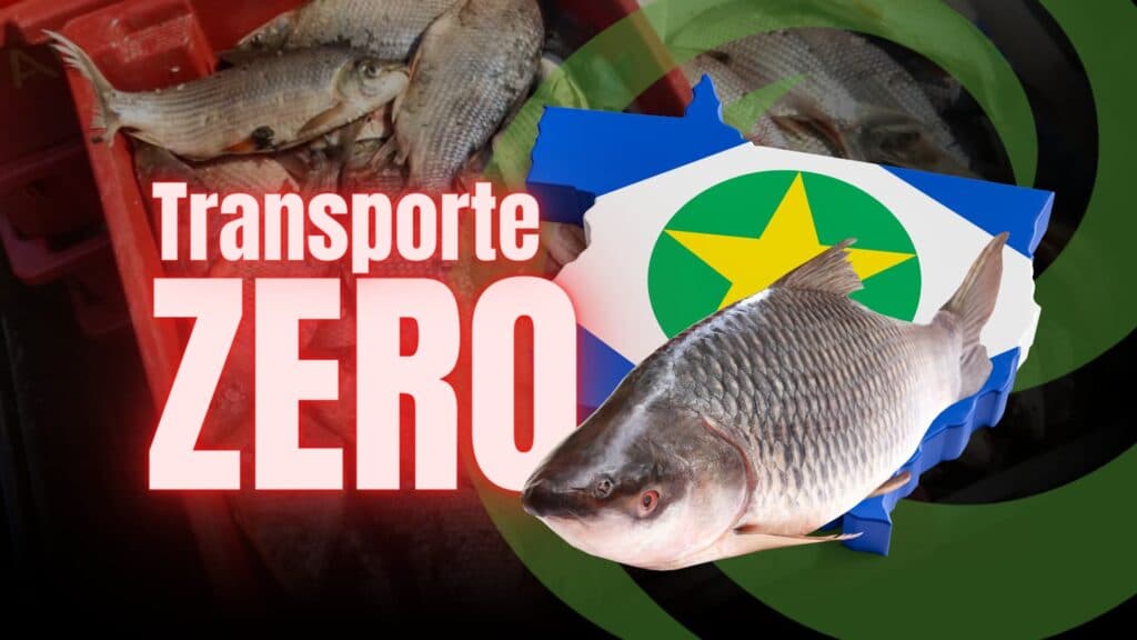 Transporte Zero: Cadastramento de pescadores artesanais no repesca vai até 13 de fevereiro