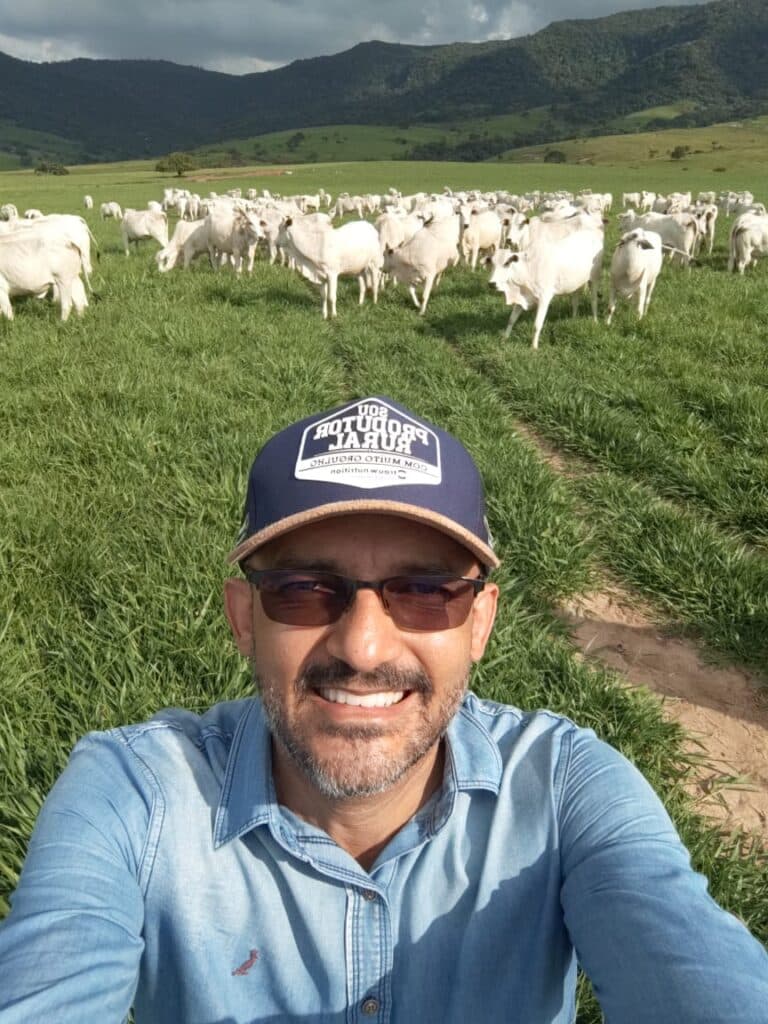 Boi: chuvas melhoram pastagens em Mato Grosso