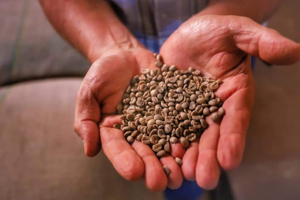 Premiação do Concurso Café Qualidade vai ocorrer pela 1ª vez em Curitiba