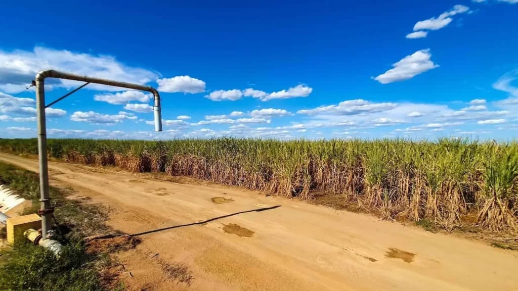 Secretaria de Agricultura publica análise do comércio exterior do agronegócio mineiro