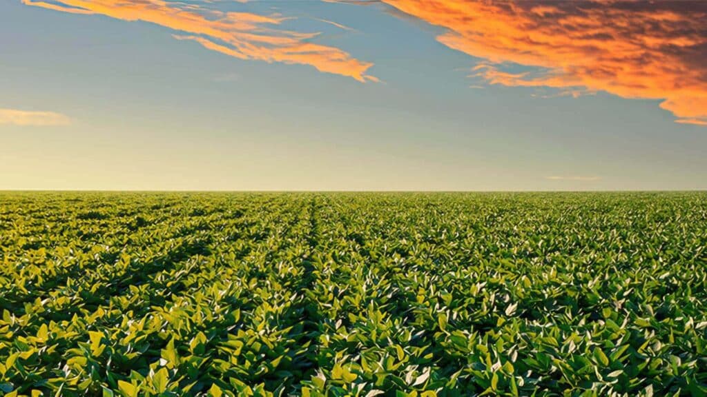 5 tecnologias do agronegócio em alta antes da porteira
