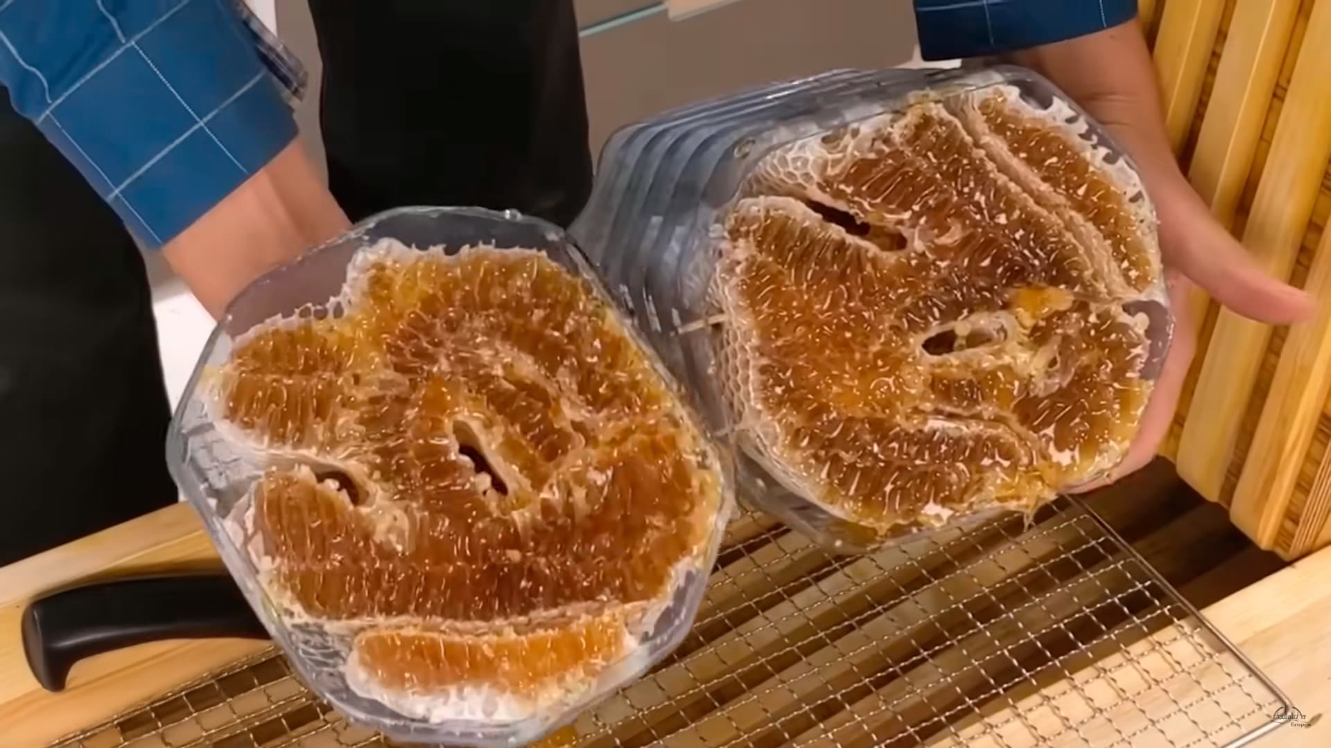 Inovação: Apicultor ensina como produzir Mel direto em Garrafas PET