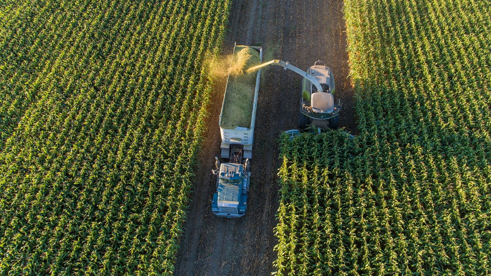 TECGRAF AGRO democratiza acesso a agricultura de precisão com tecnologias para qualquer produtor rural