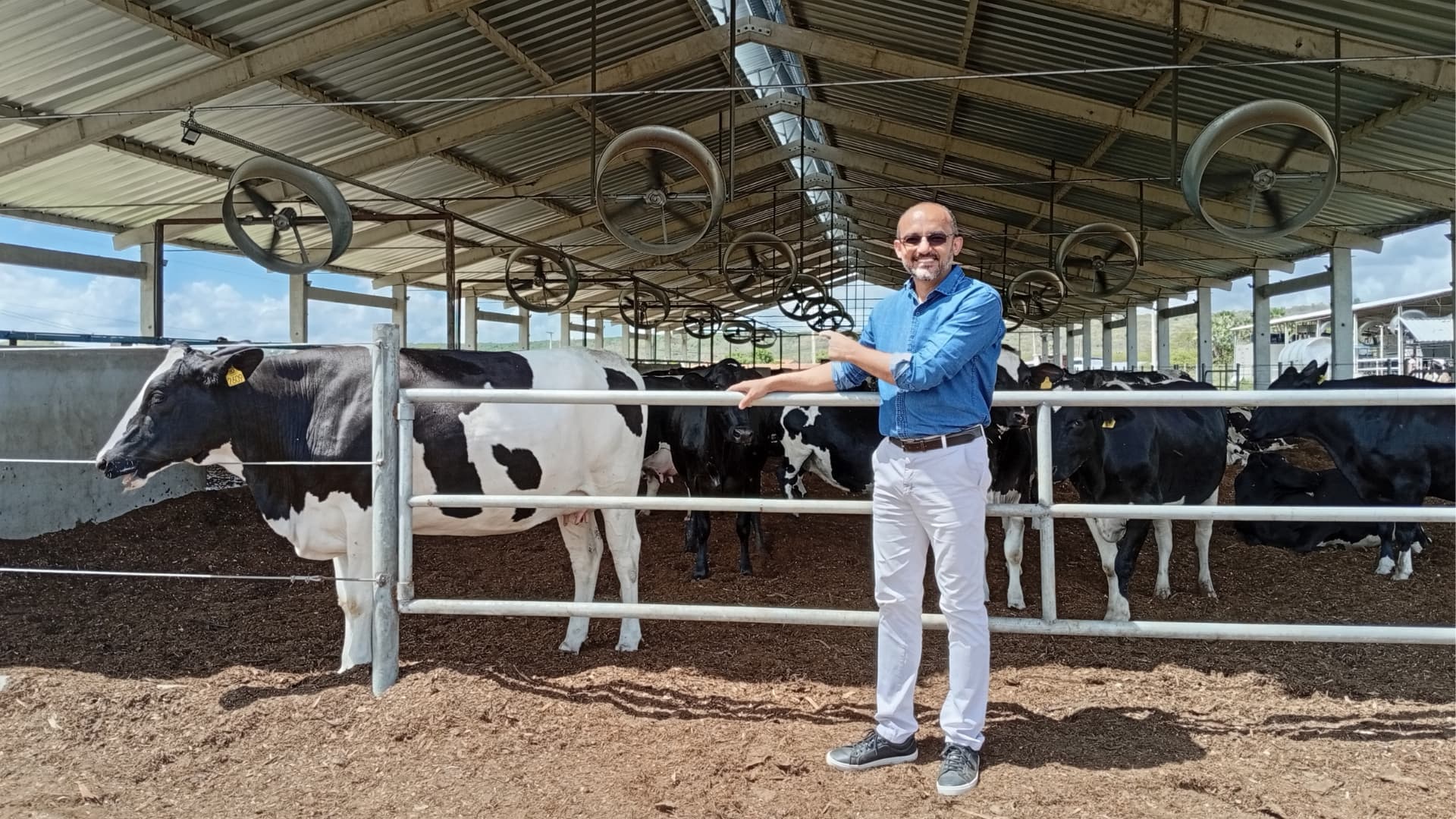 Aquecimento global e práticas de manejo impactam pegada hídrica na produção leiteira