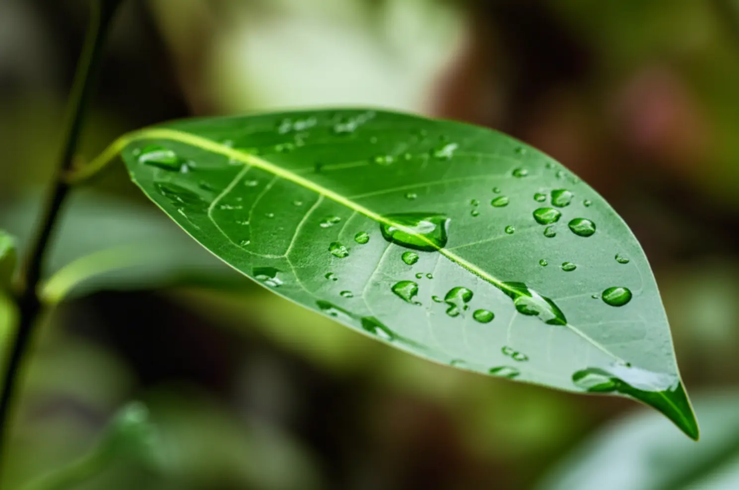 Confira a previsão do tempo de 07 a 13 de abril