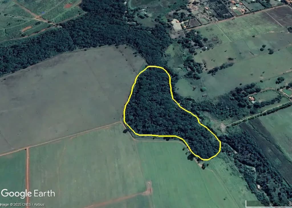 Ferramenta agrega valor de uso à restauração ecológica de matas ciliares no Cerrado