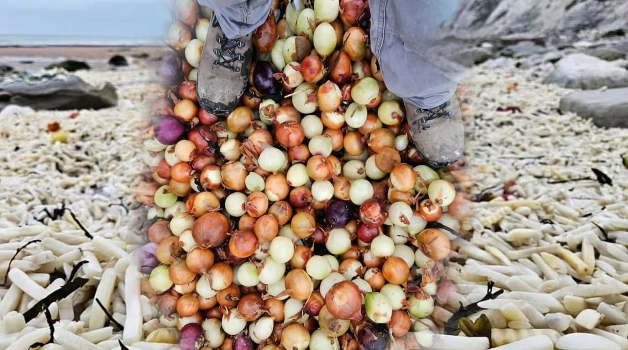 Acidente com navio cargueiro inunda praia com toneladas de batatas e cebolas
