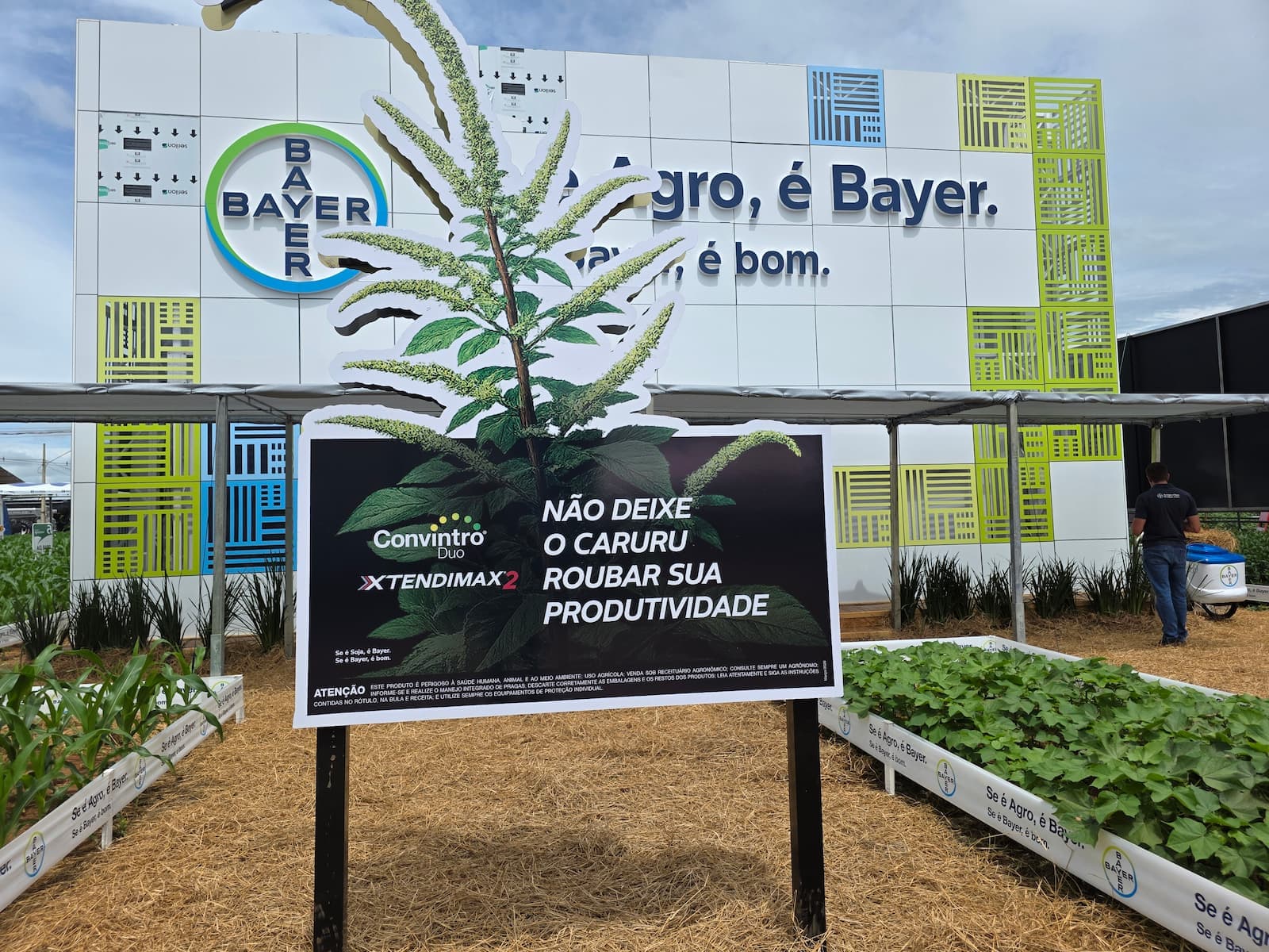 Bayer apresenta resultados surpreendentes no controle do Caruru e da Buva no Centro-Oeste