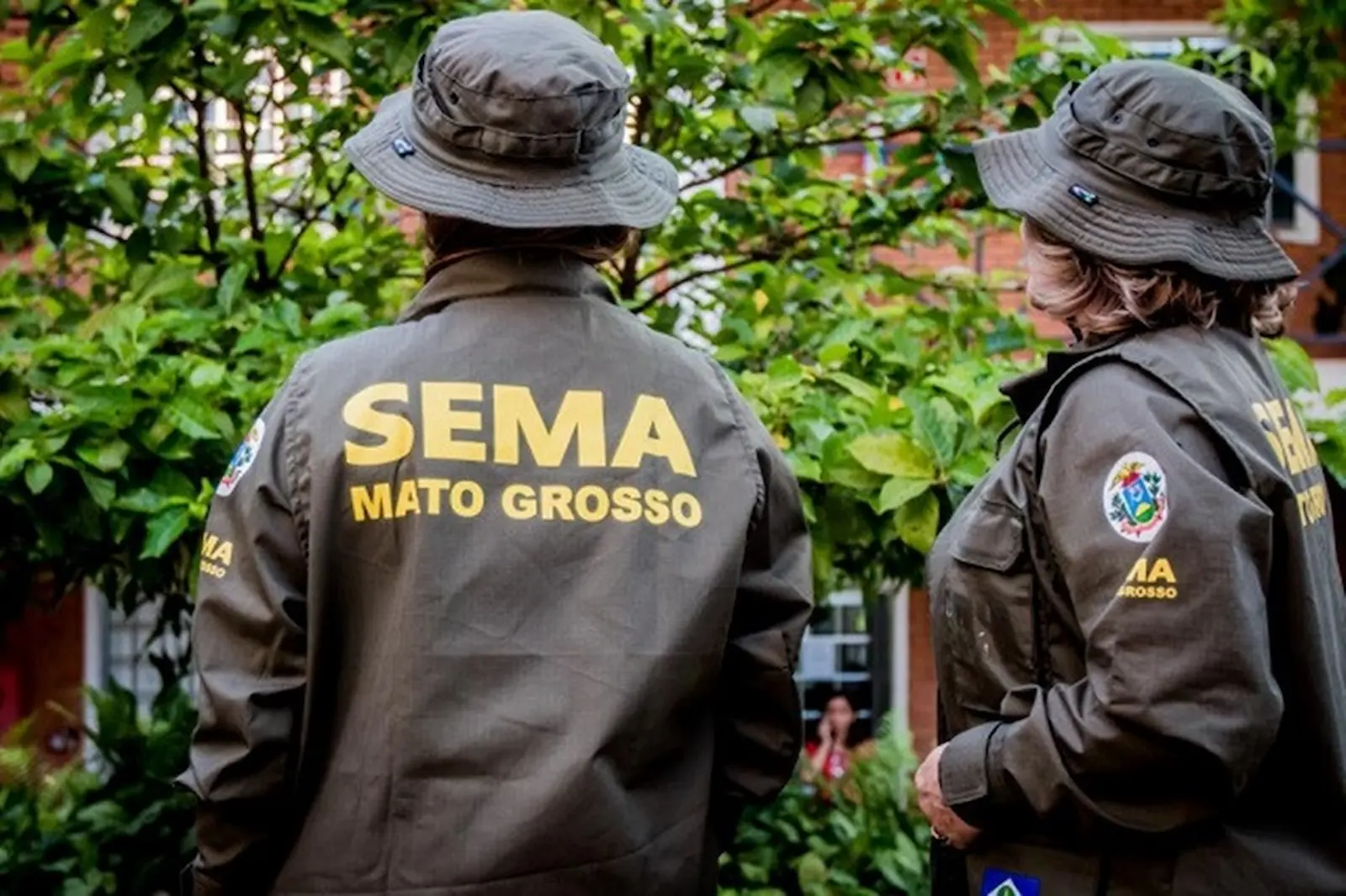 sema