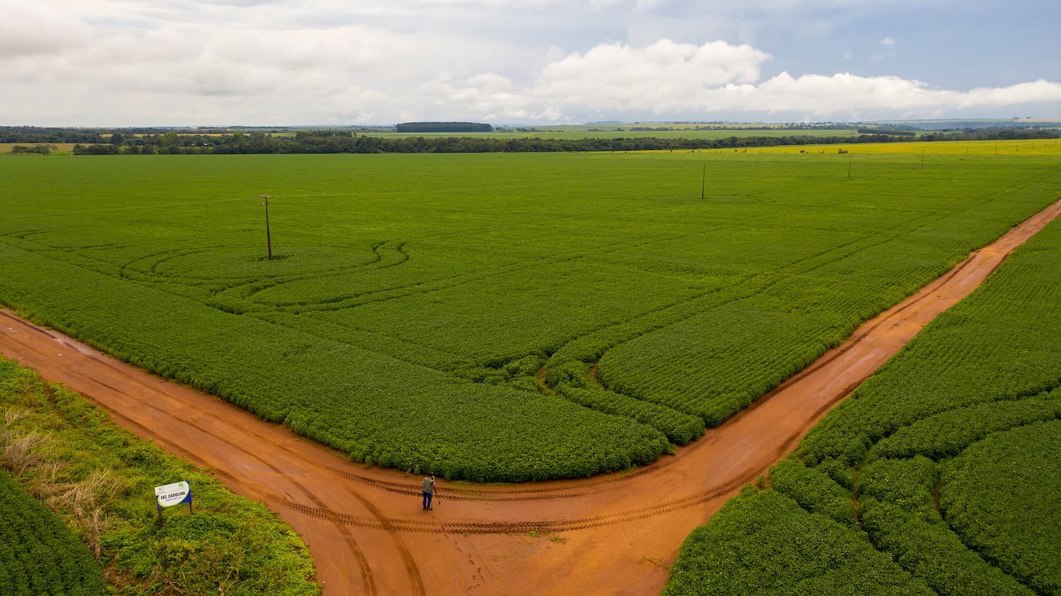 Tambores de guerra no Leste europeu nos preços dos ativos de risco e das commodities