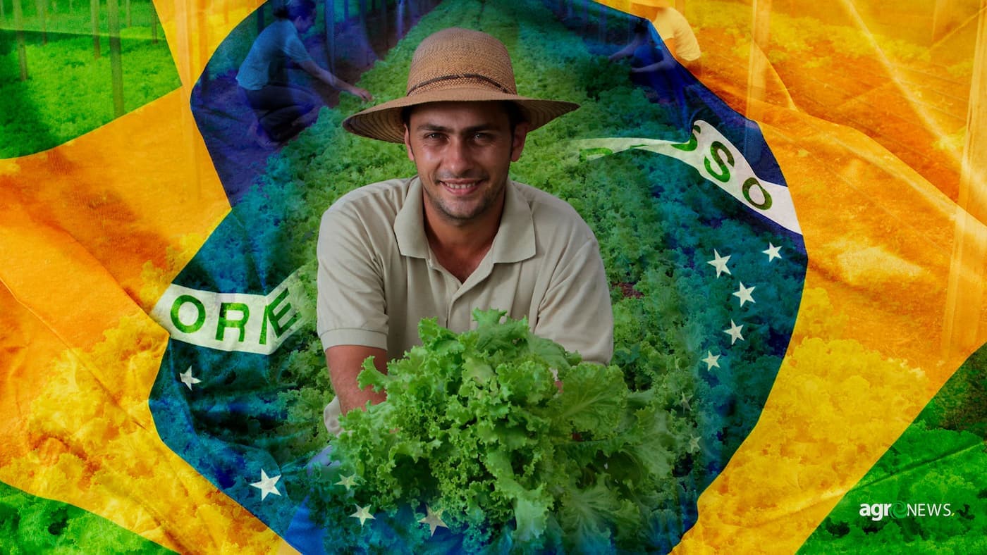 Preço da cesta básica caiu 40% nas últimas 4 décadas graças a evolução tecnológica do agro brasileiro
