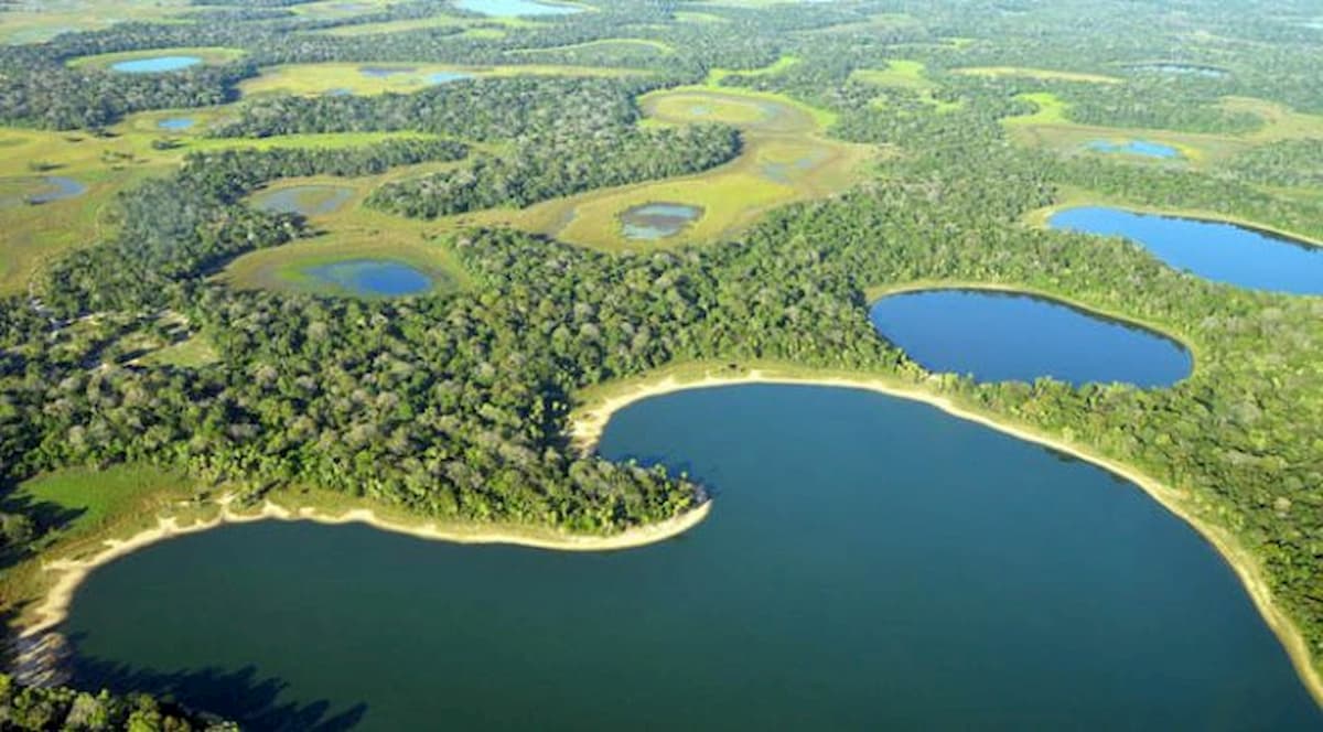 “Pantanal Village”, o sensacional condomínio de Periquitos