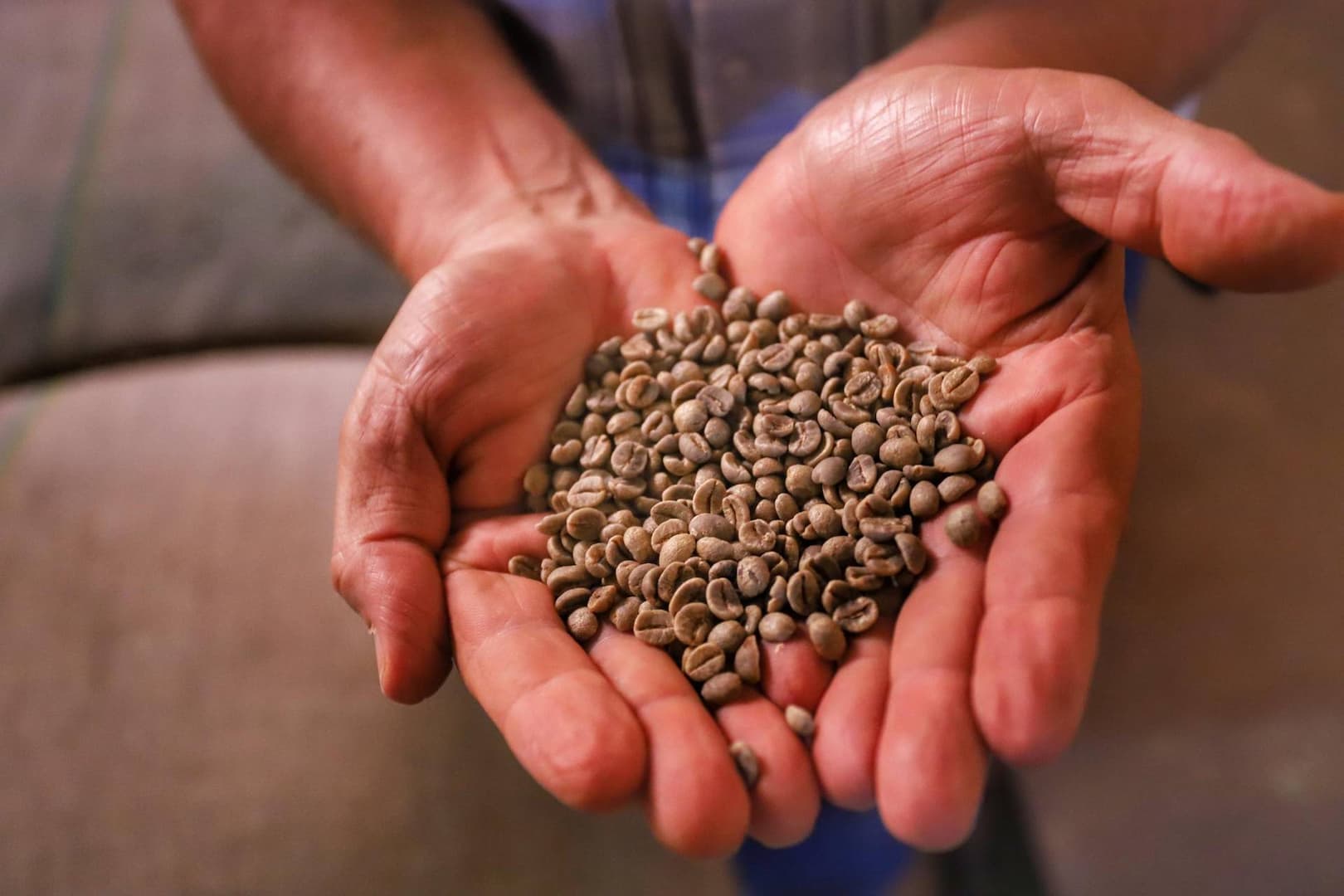 Premiação do Concurso Café Qualidade vai ocorrer pela 1ª vez em Curitiba