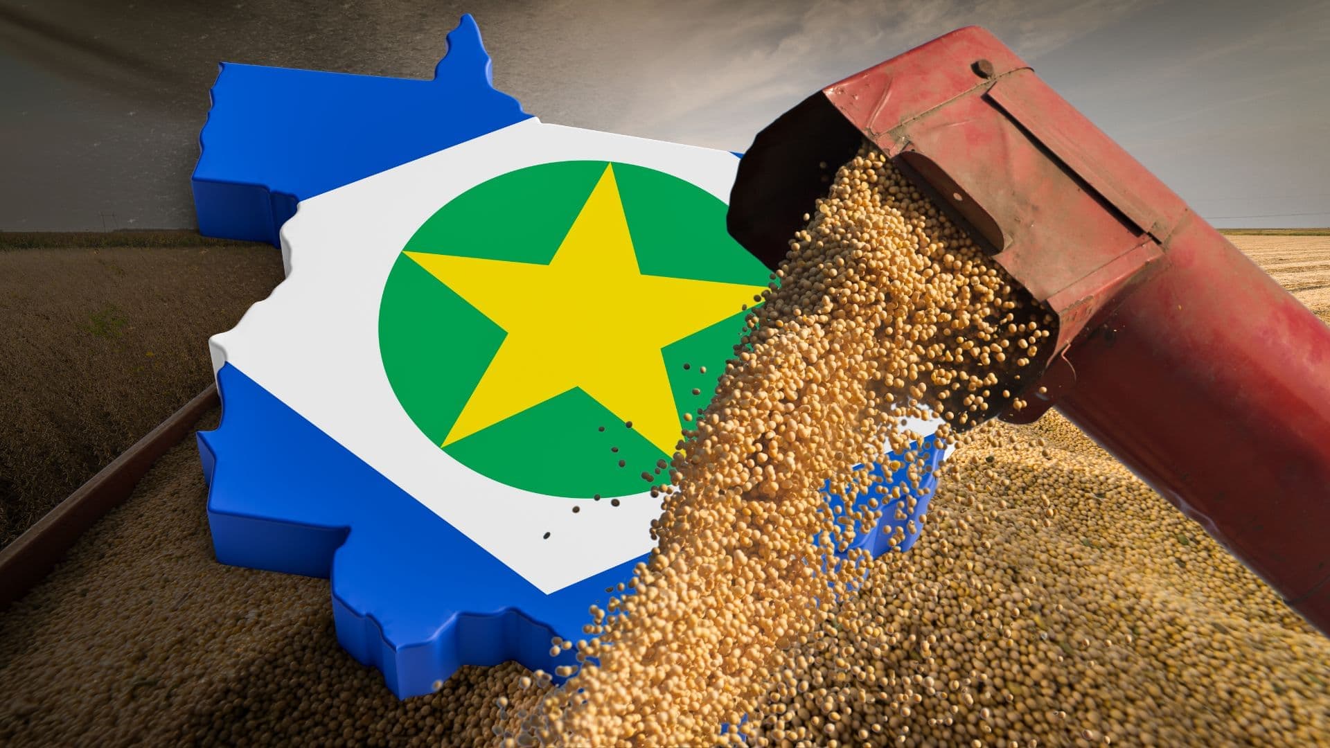 Abertura Nacional da Colheita da Soja em Mato Grosso acontece nesta próxima semana
