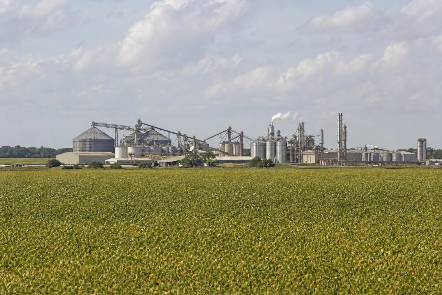 MT tenta converter força do agro em indústria