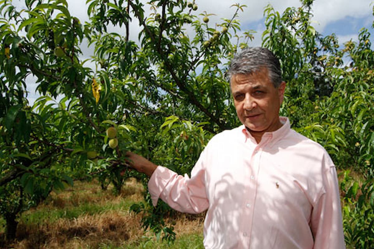 Plantar soja na capital &eacute; poss&iacute;vel