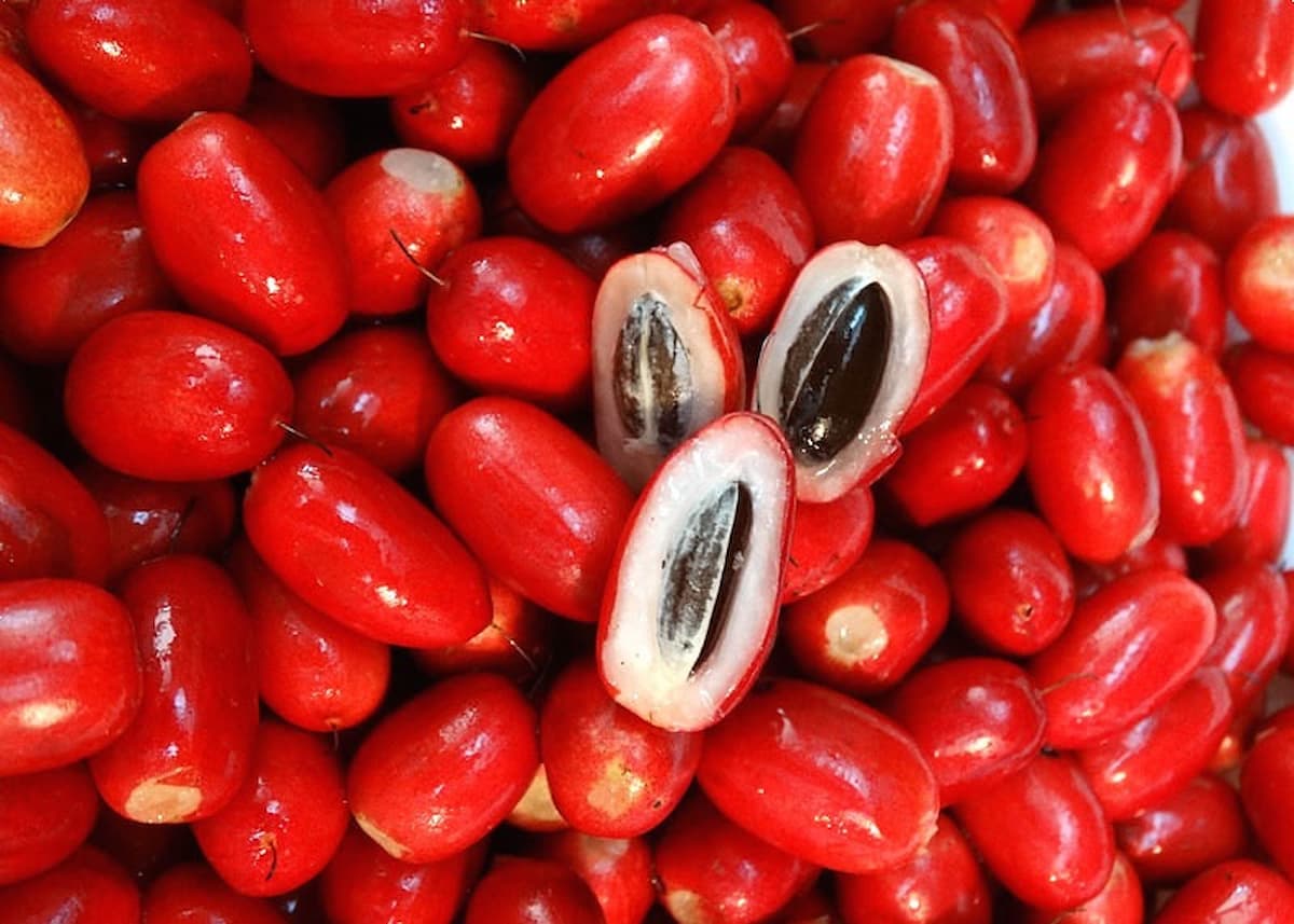 fruta do milagre