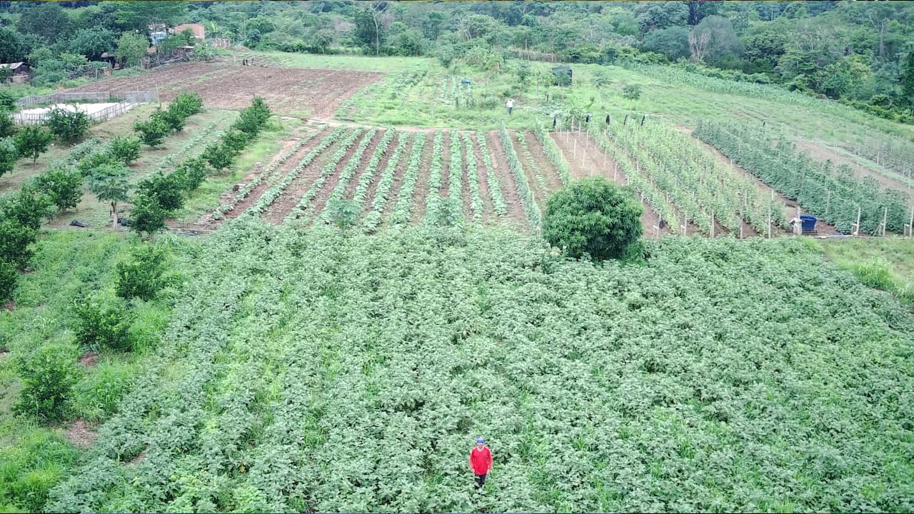 Programa Agro da Gente facilita log&iacute;stica de transporte da agricultura familiar em Cuiab&aacute;