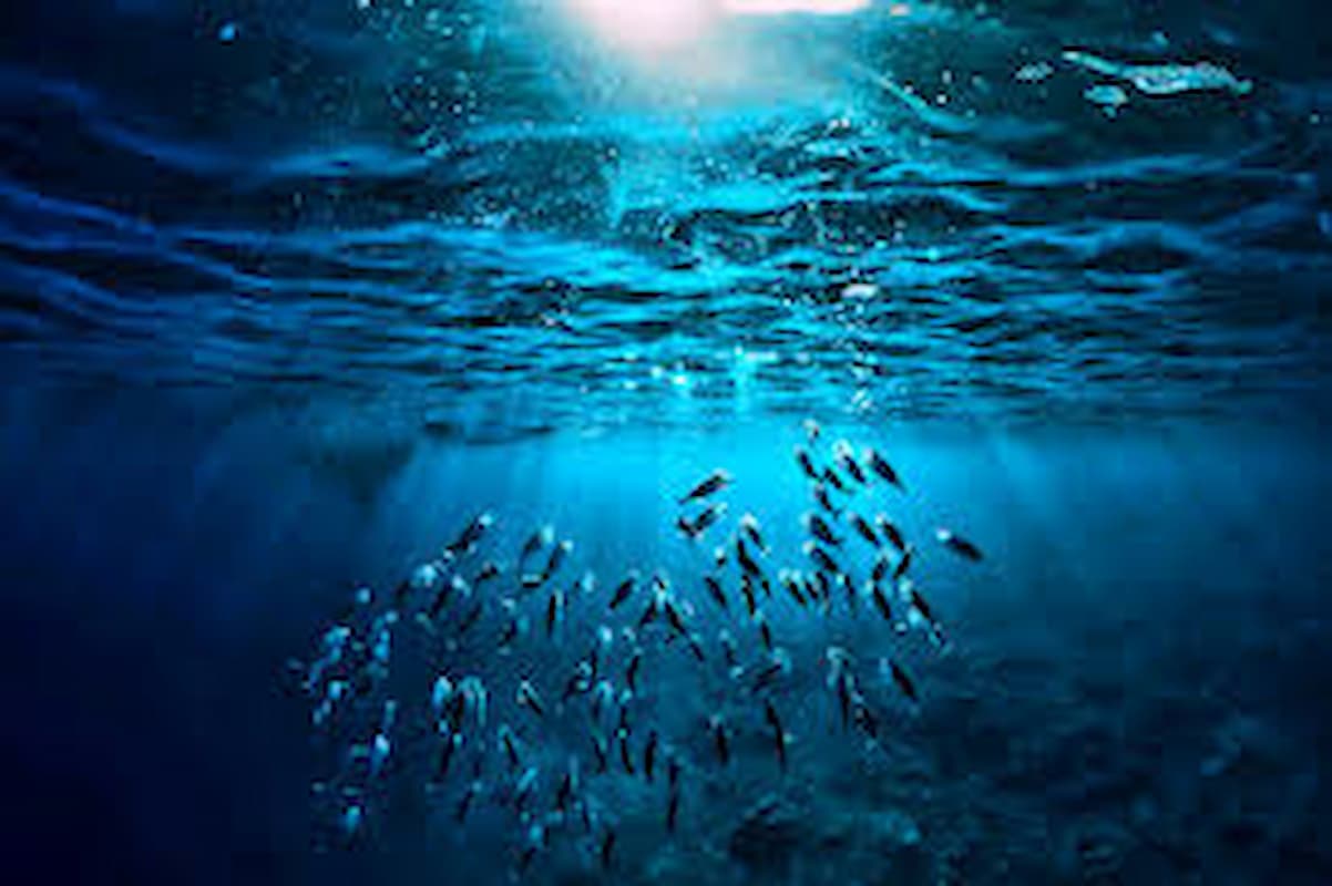 oceano pacifico elevacao do nivel do mar el nino 2026 satelite copernicus