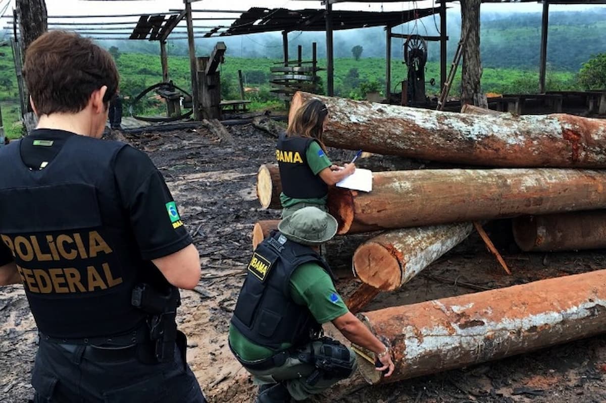 Saiba tudo sobre a &ldquo;Opera&ccedil;&atilde;o Maravalha III&rdquo; e as fraudes de produtos florestais em MT, RO e PA