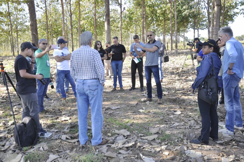 Fazenda Boqueirao Arno Schneider