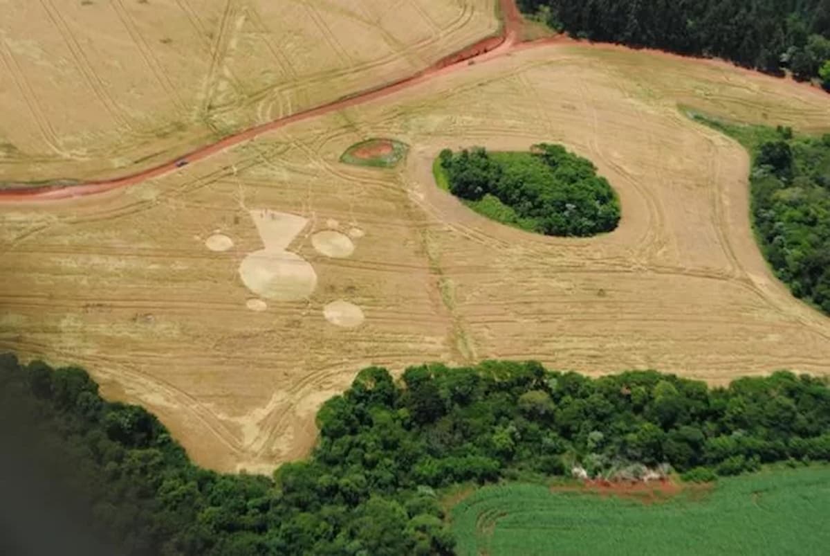 Agroglifos no Brasil e os mistérios de Ipuaçu-SC