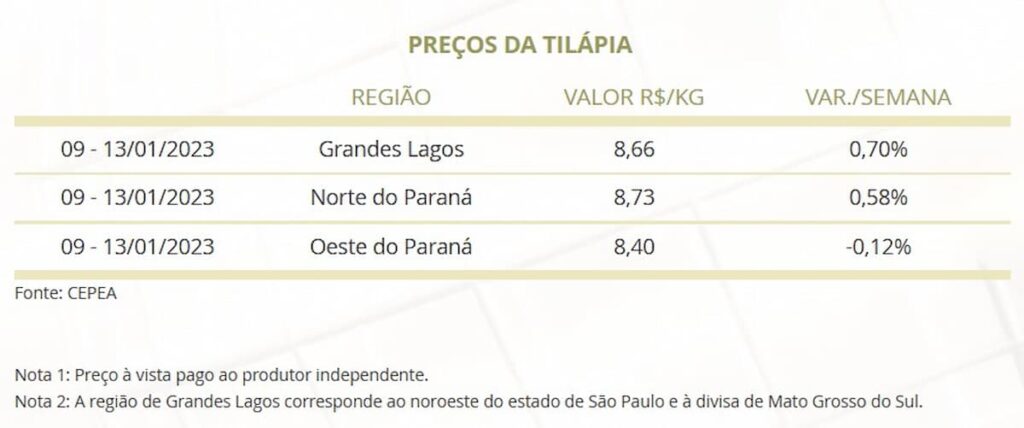 Mercado do Peixe 14 de janeiro 2023, ministério ainda sem novidades