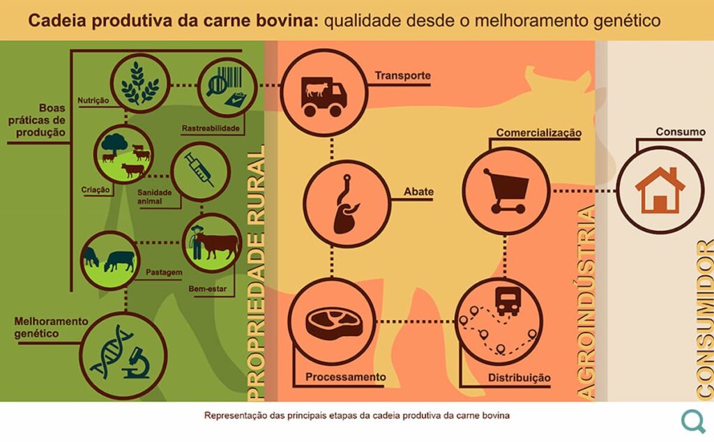carne bovina