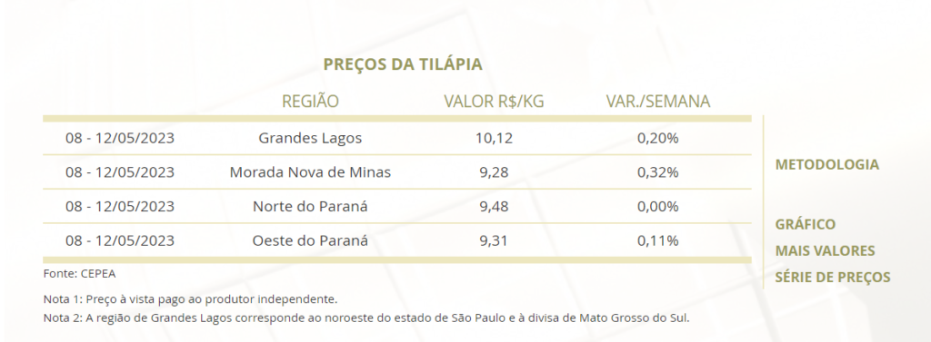 tilápia