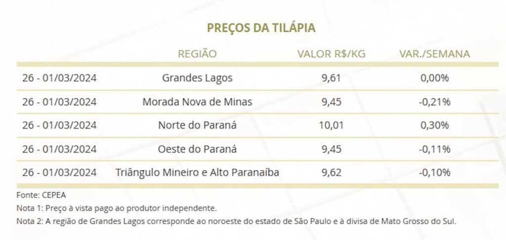 Mercado da tilápia nessa semana, 09 de março 2024
