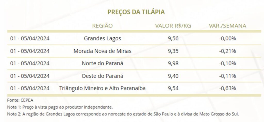 Estabilidade nos preços da tilápia após Semana Santa