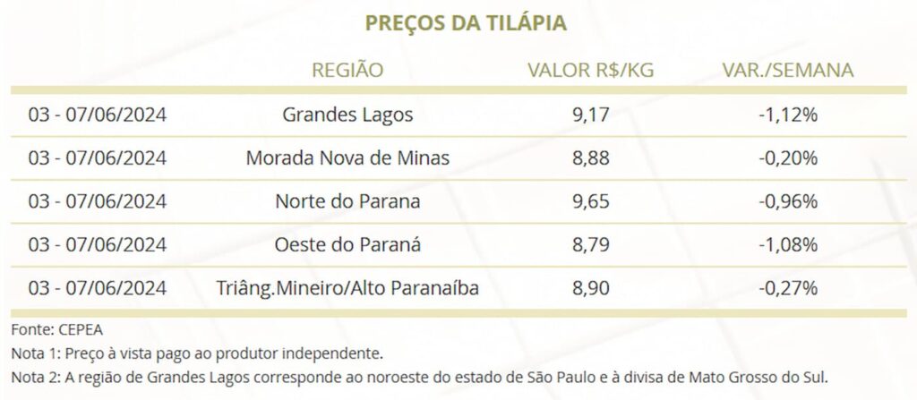 Confira o mercado de peixes de cultivo dessa semana, tendências de preços e perspectivas