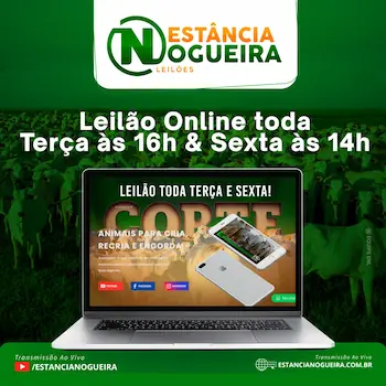 Estância Nogueira Leilões