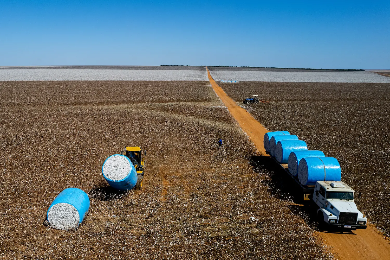 Mercado travado em Mato Grosso e a calmaria pós-fed: O jogo de paciência no milho e na soja