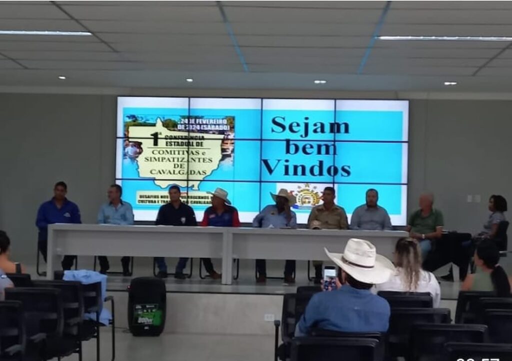 Comitivas 3