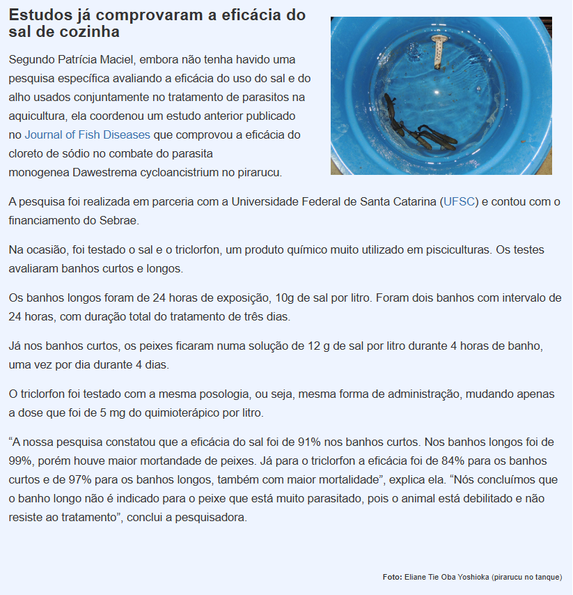 pirarucu
