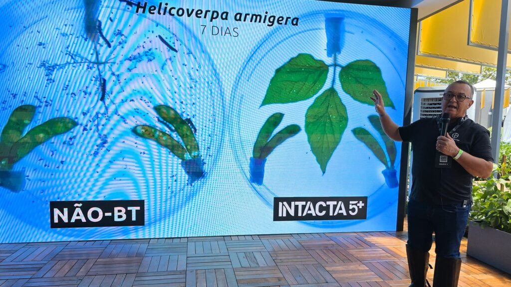 Intacta 5 Bayer 6