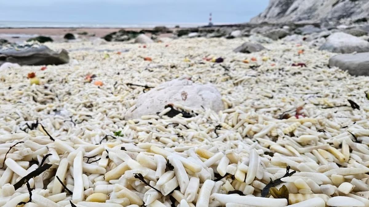 Acidente com navio cargueiro inunda praia com toneladas de batatas e cebolas