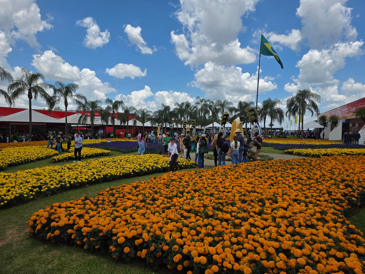 Com mais de 115 mil visitantes em um único dia, Show Rural Coopavel surpreende e mostra a força do agro em 2026
