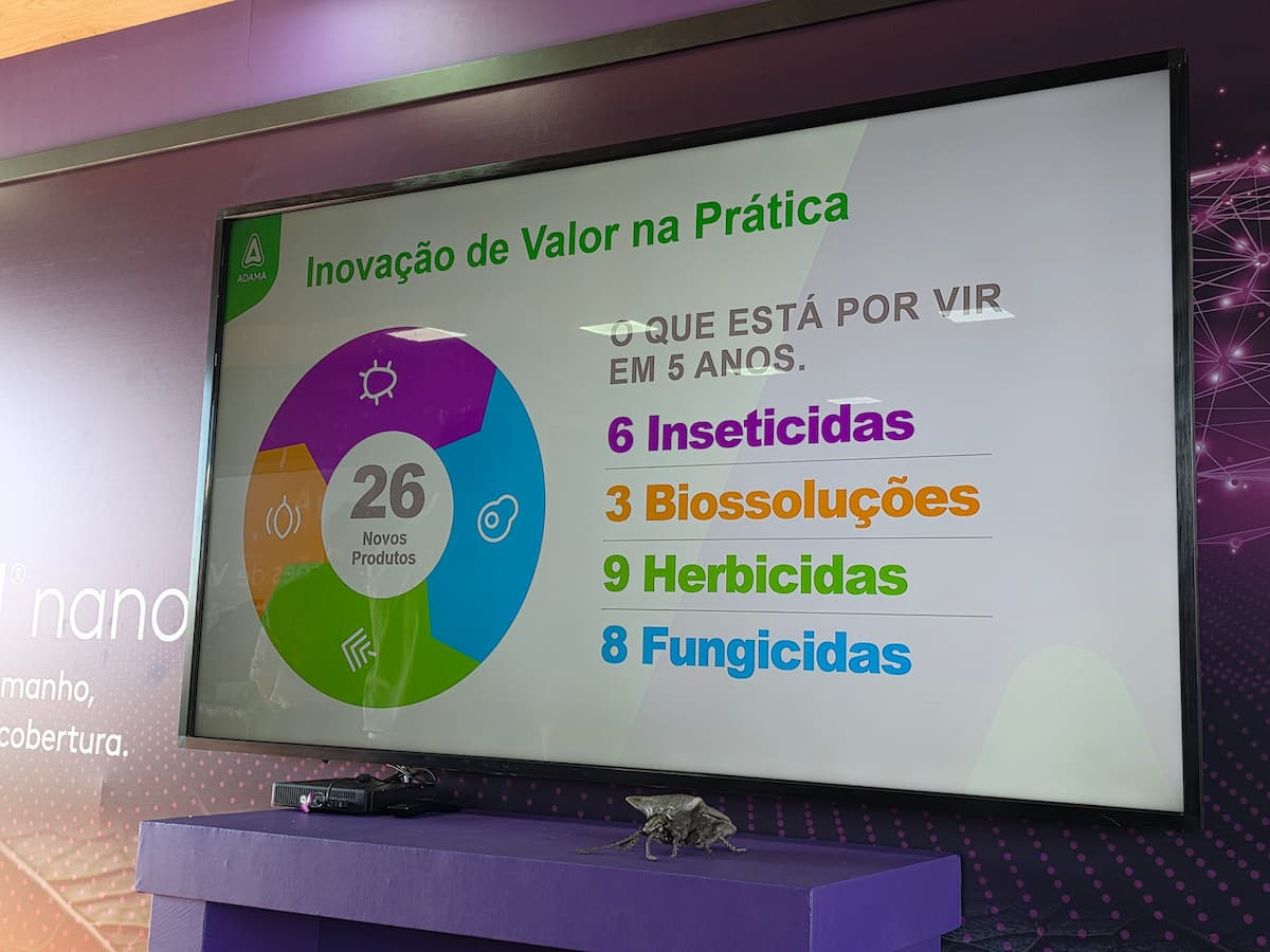 Nanotecnologia inovadora promete acabar com o prejuízo invisível dos percevejos